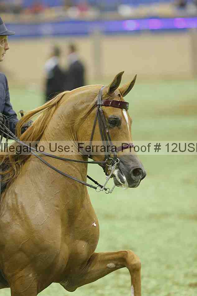 Proof 12usn_39342