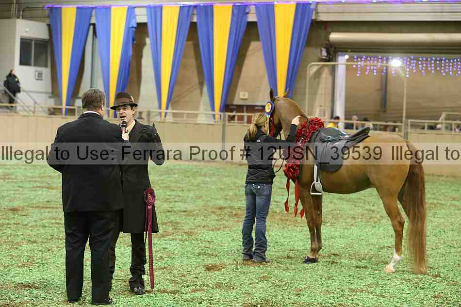 Proof 12usn_39539