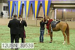 12usn_39539 proof