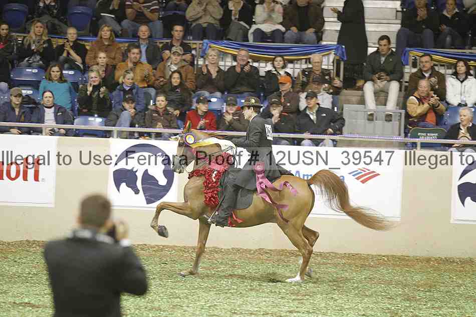 Proof 12usn_39547