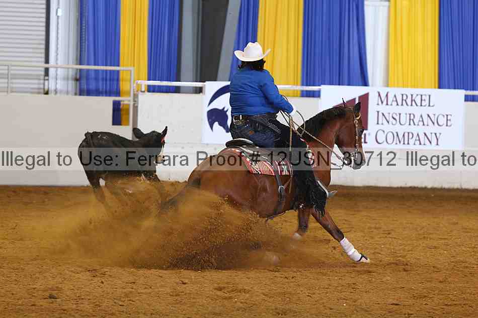 Proof 12usn_30712