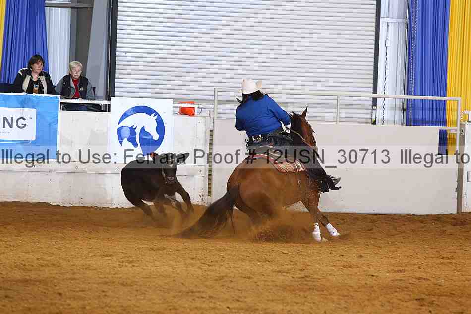 Proof 12usn_30713