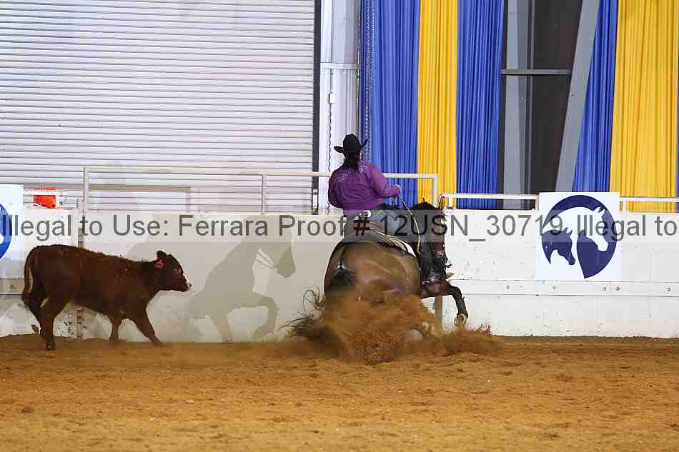 Proof 12usn_30719