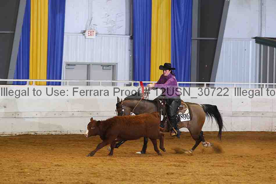 Proof 12usn_30722