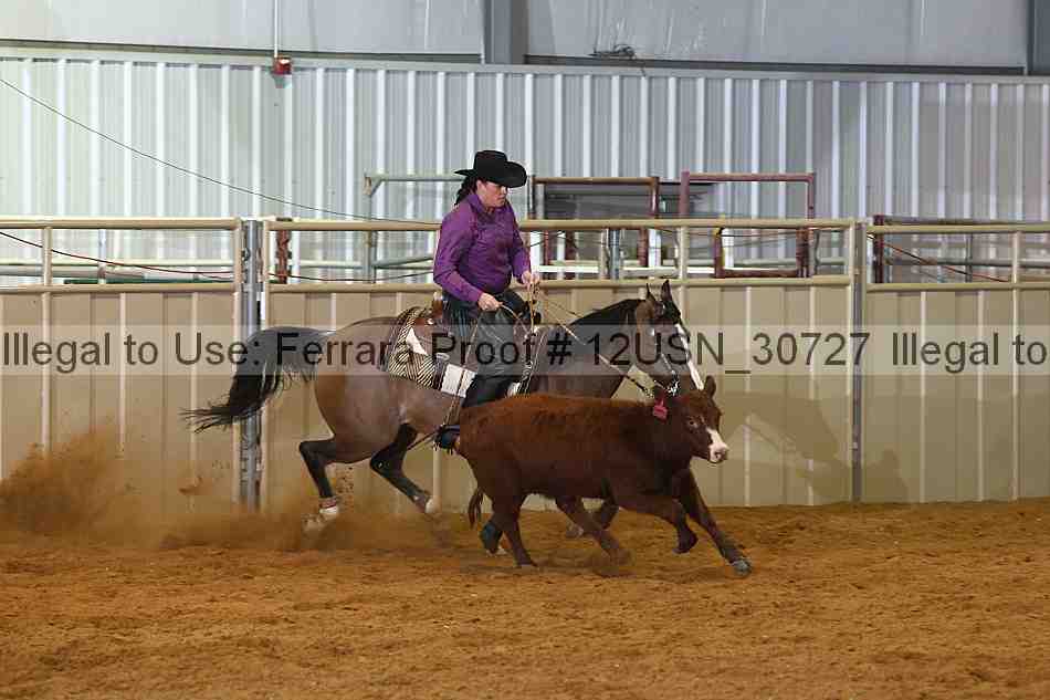 Proof 12usn_30727