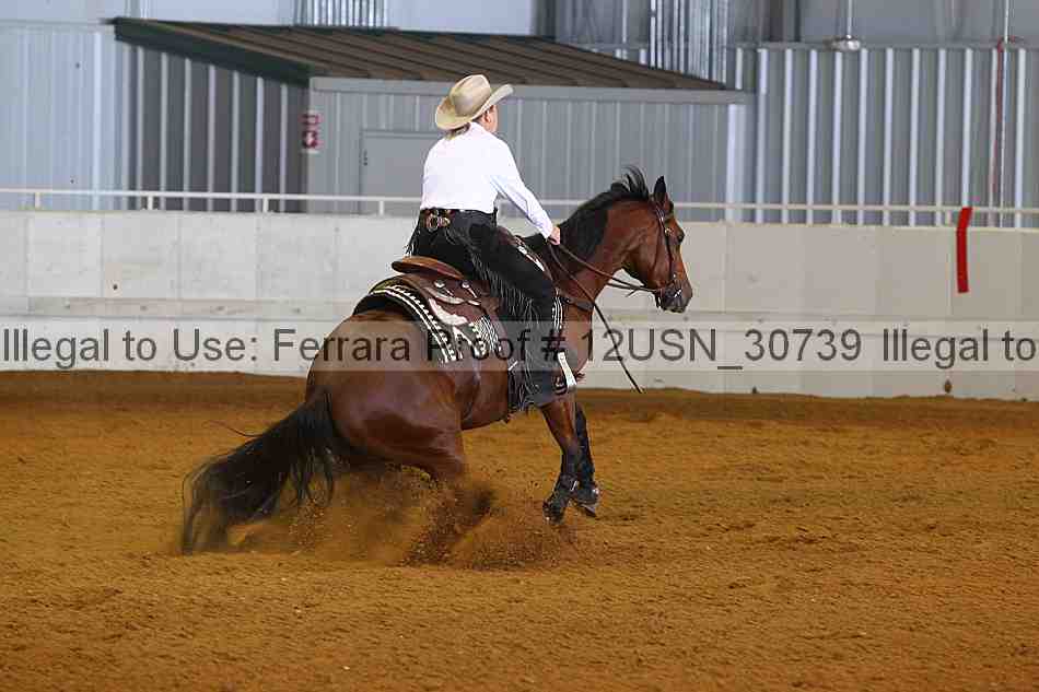 Proof 12usn_30739