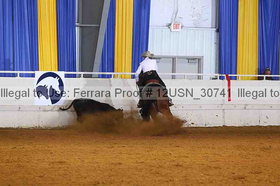 Proof 12usn_30741