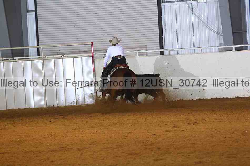Proof 12usn_30742