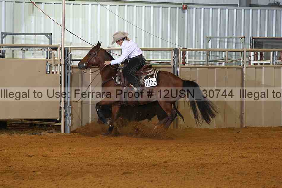 Proof 12usn_30744