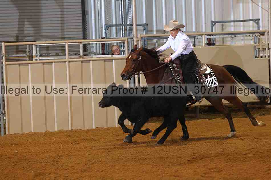 Proof 12usn_30747