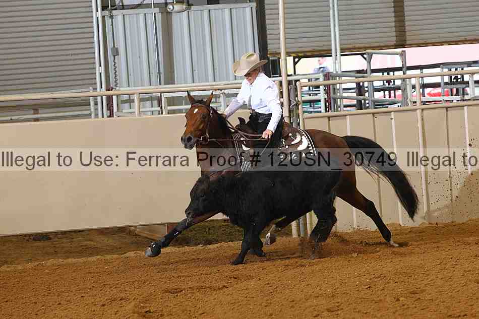 Proof 12usn_30749