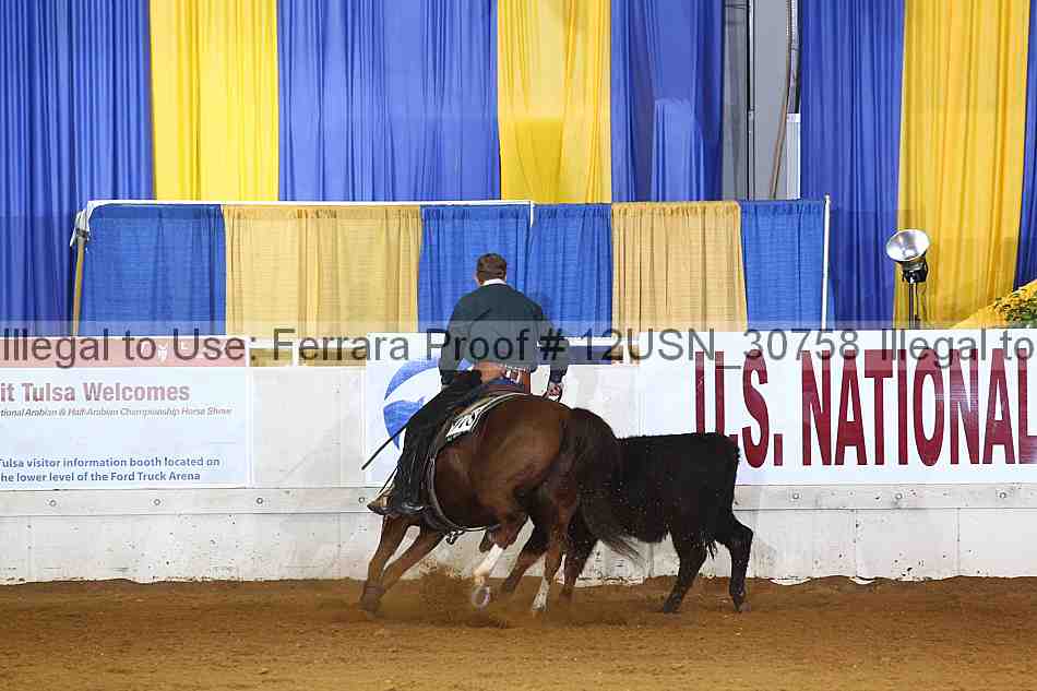 Proof 12usn_30758