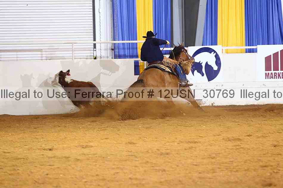 Proof 12usn_30769