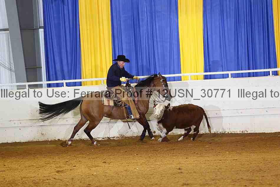 Proof 12usn_30771