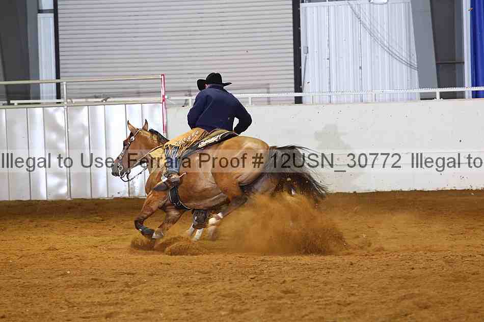 Proof 12usn_30772
