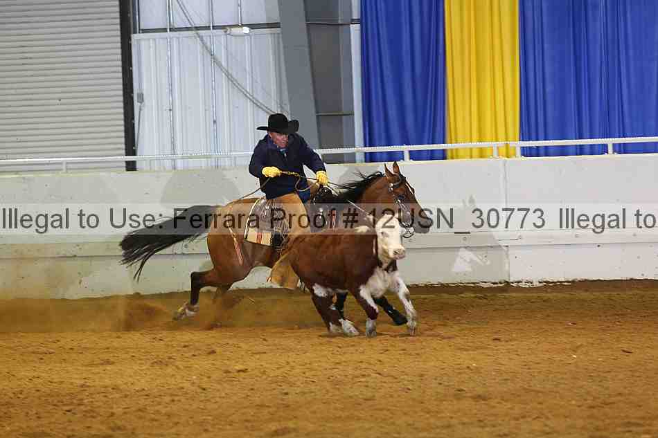 Proof 12usn_30773