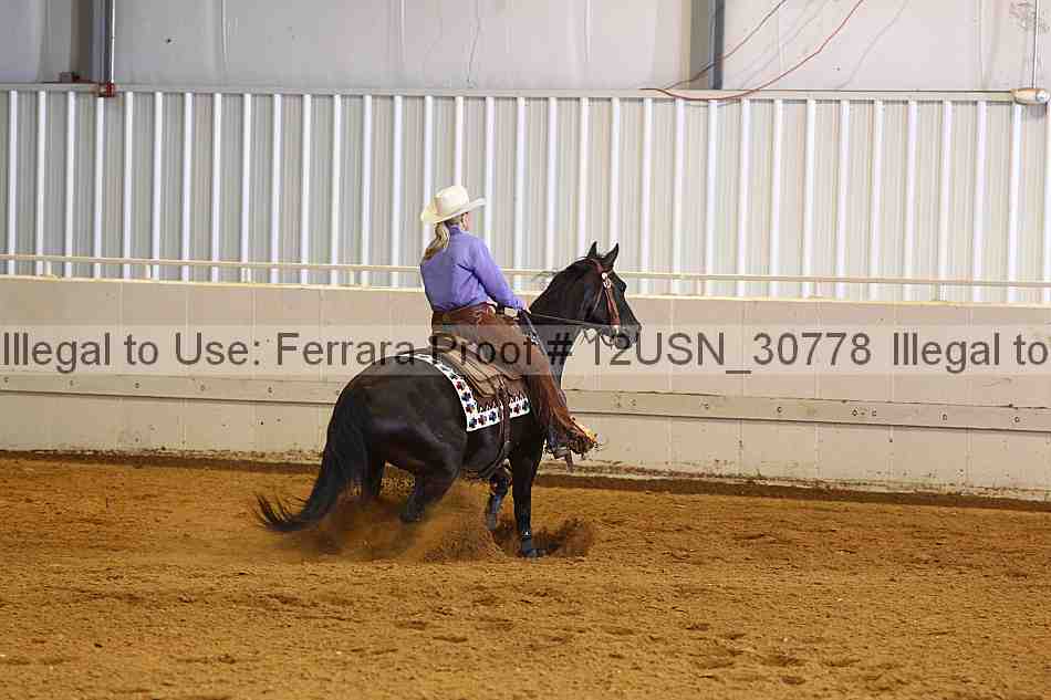 Proof 12usn_30778