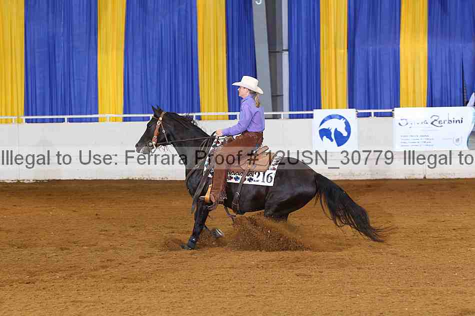 Proof 12usn_30779