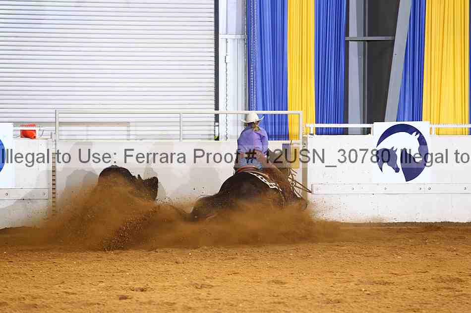 Proof 12usn_30780