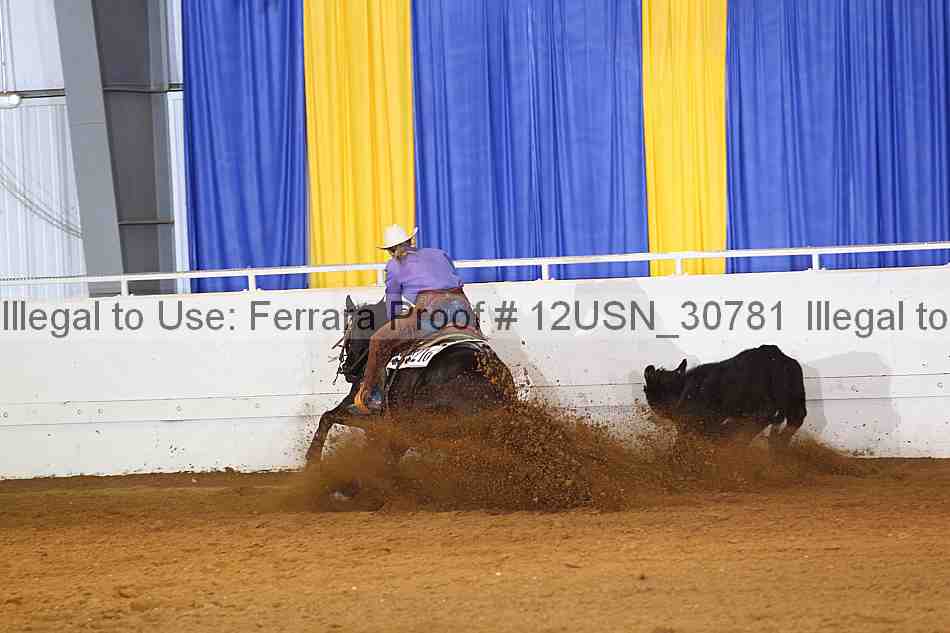 Proof 12usn_30781