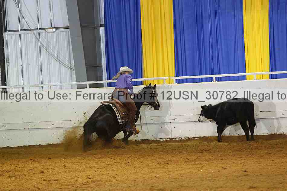 Proof 12usn_30782