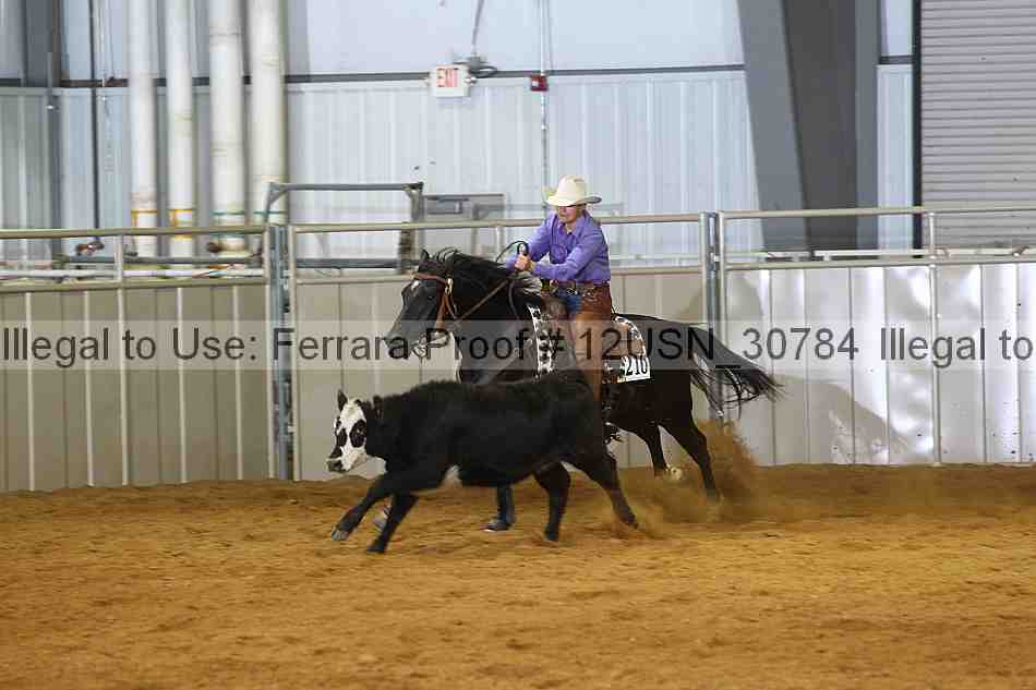 Proof 12usn_30784