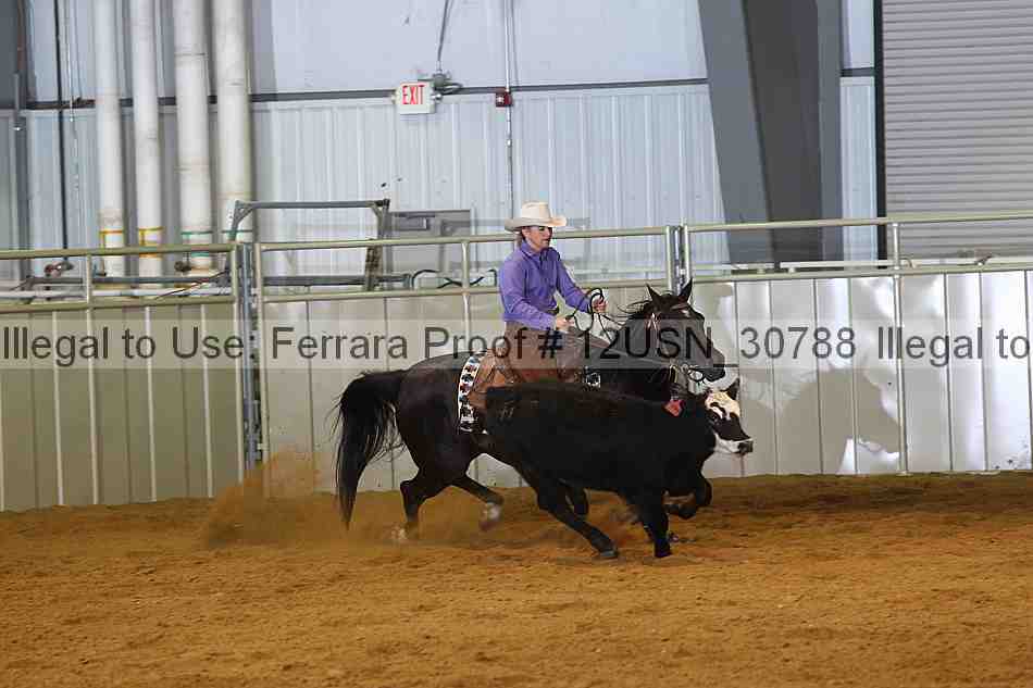 Proof 12usn_30788