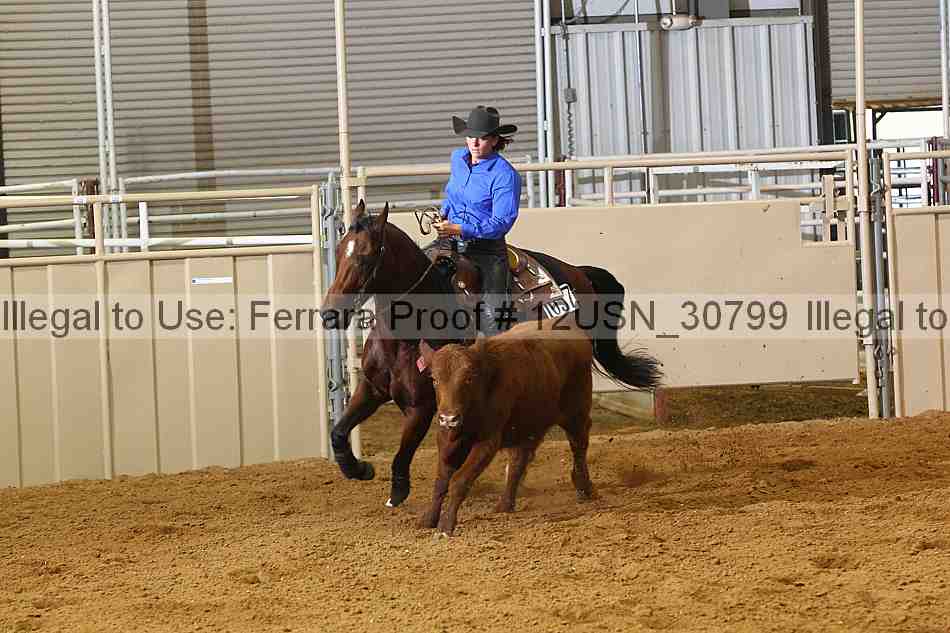 Proof 12usn_30799
