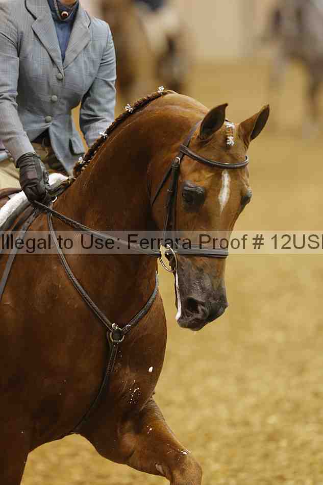 Proof 12usn_00041