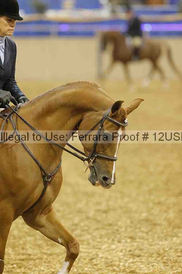 Proof 12usn_00121