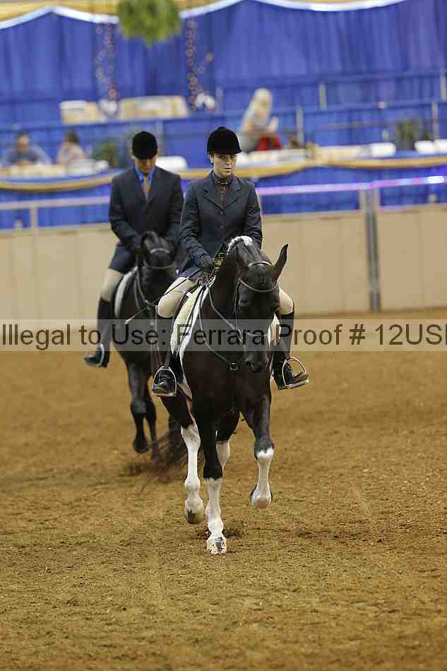 Proof 12usn_12451