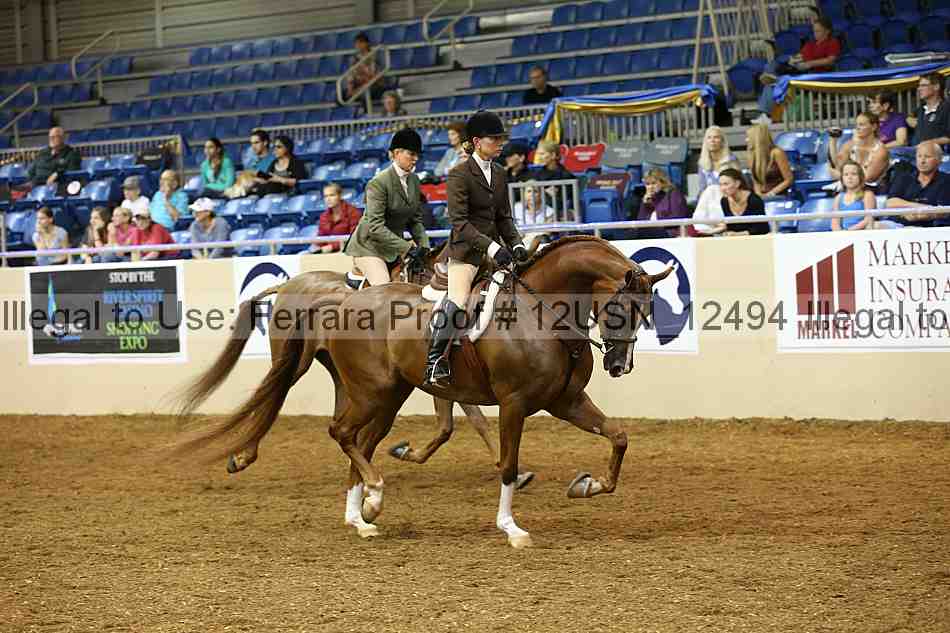 Proof 12usn_12494