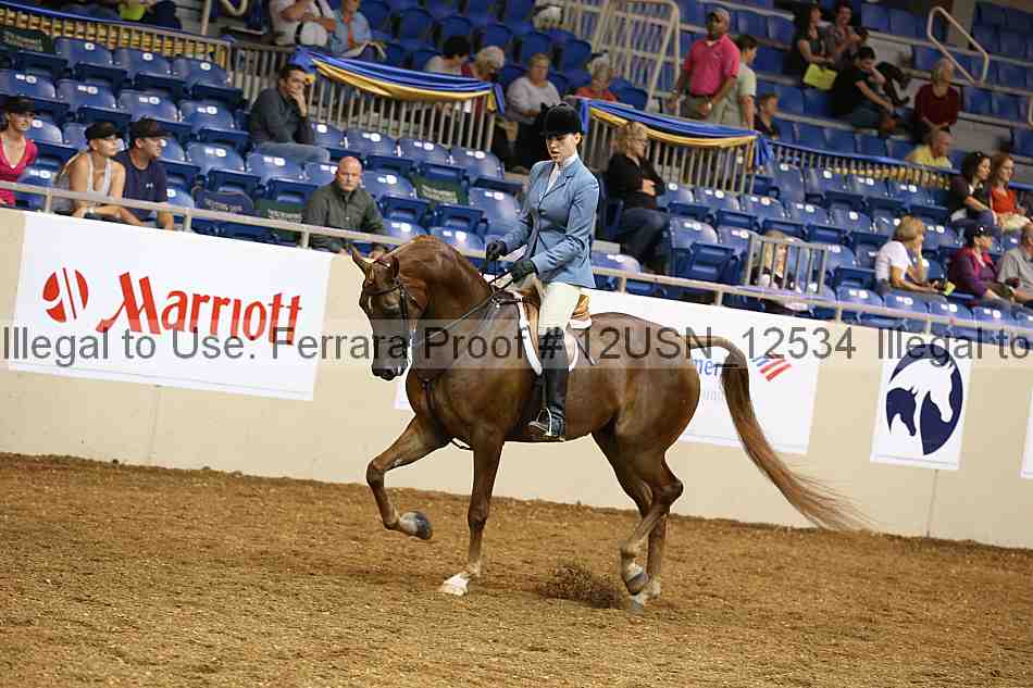 Proof 12usn_12534