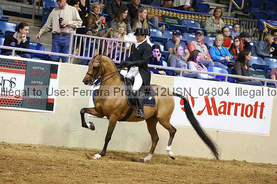 Proof 12usn_04804