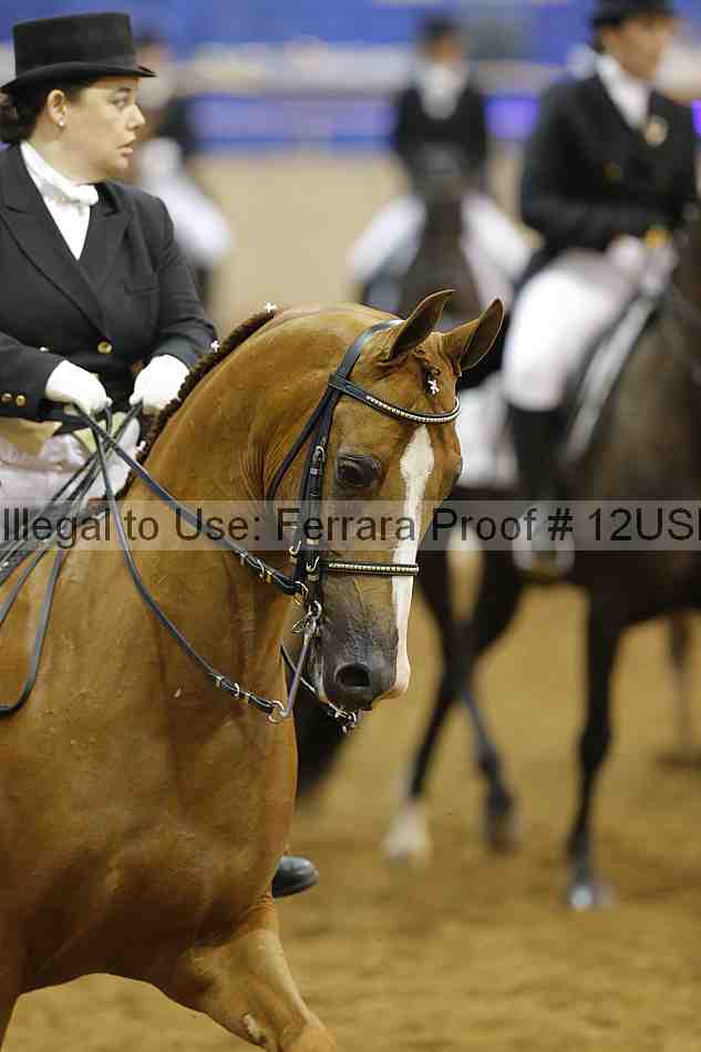 Proof 12usn_10319