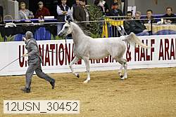12usn_30452 proof