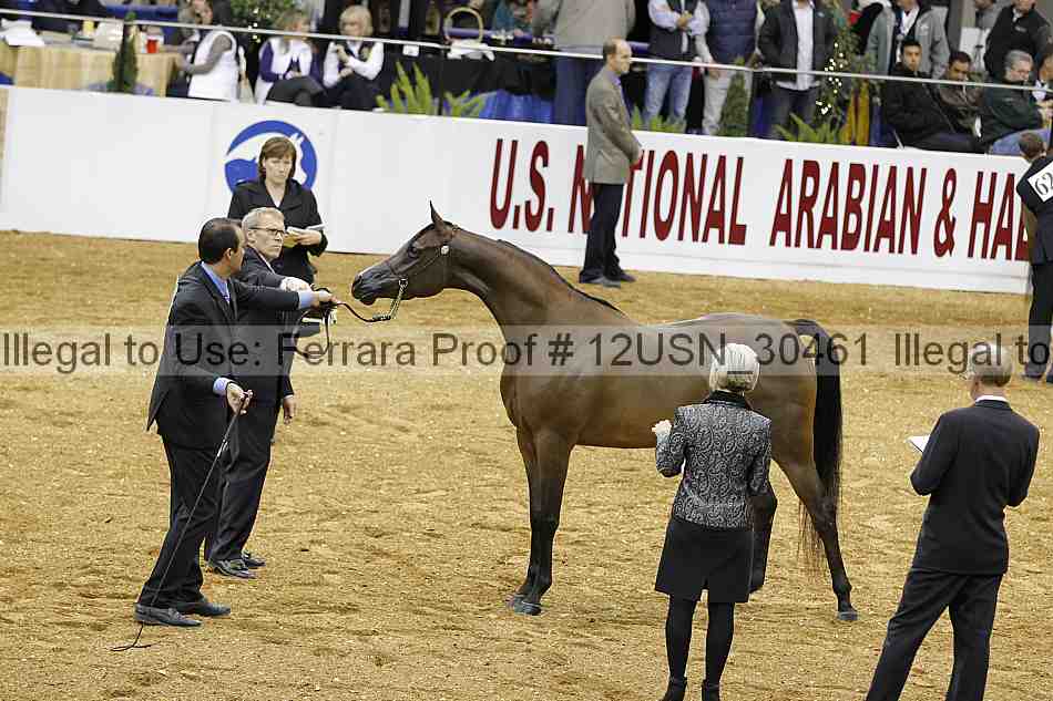 Proof 12usn_30461
