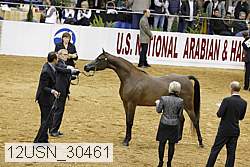 12usn_30461 proof