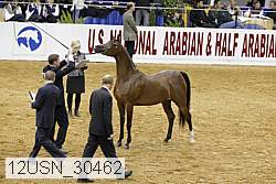 12usn_30462 proof