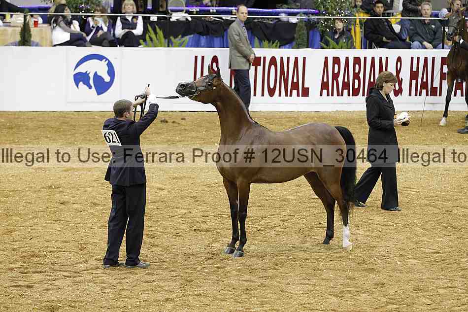 Proof 12usn_30464