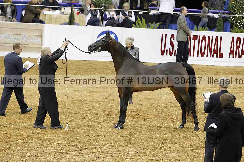 Proof 12usn_30467