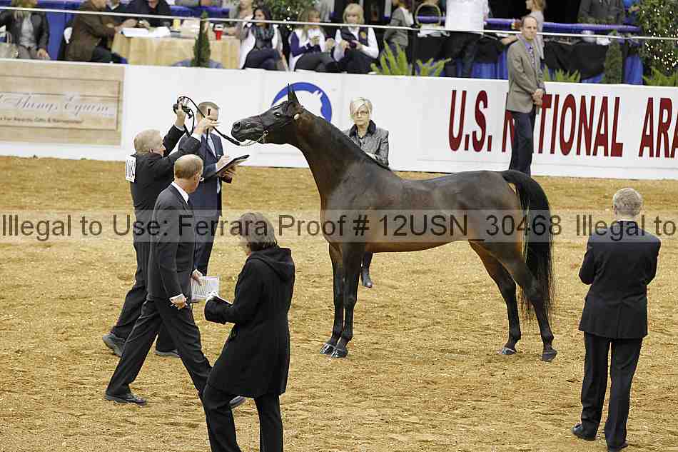 Proof 12usn_30468
