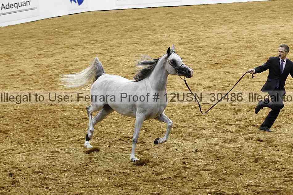 Proof 12usn_30486