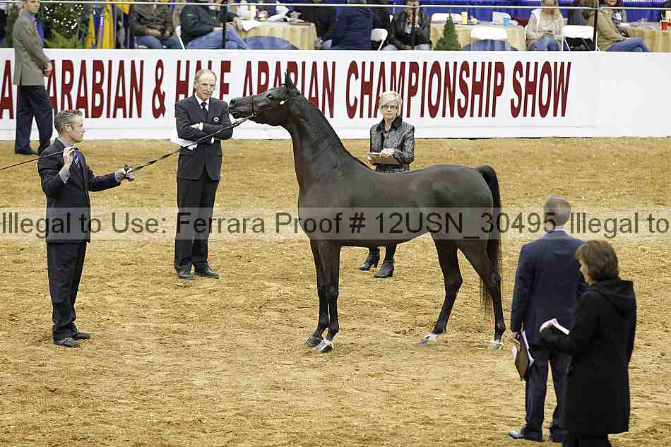 Proof 12usn_30495