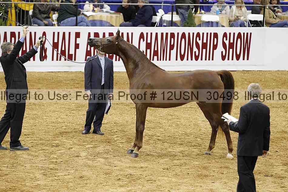 Proof 12usn_30498