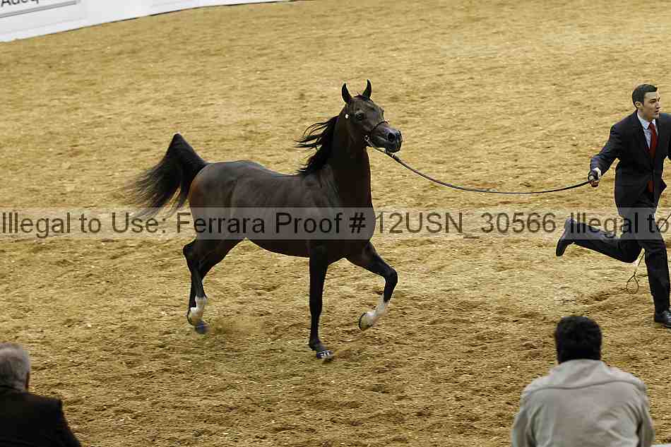 Proof 12usn_30566
