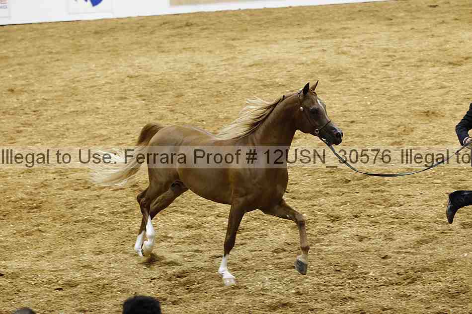 Proof 12usn_30576