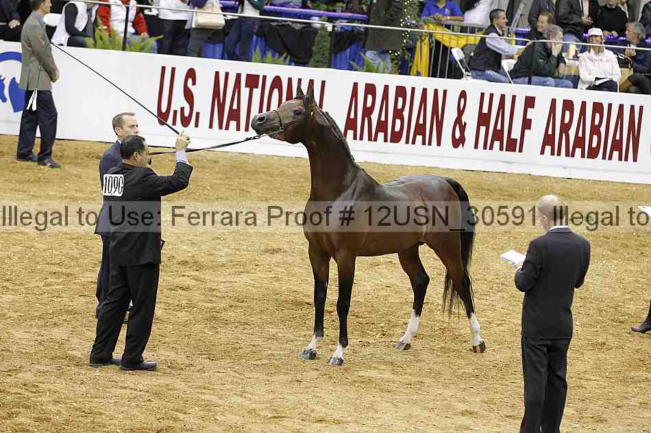 Proof 12usn_30591