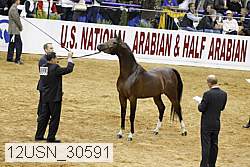 12usn_30591 proof
