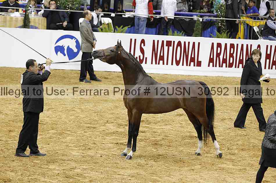 Proof 12usn_30592